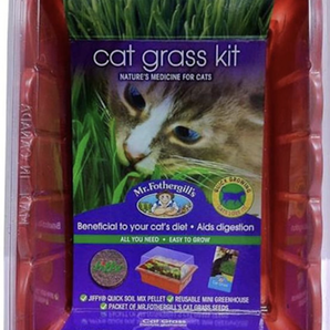 Mr Fothergill's All-in-One Grow Your Own Cat Grass Kit