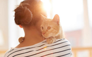 Top 5 Cat Care Mistakes to Avoid