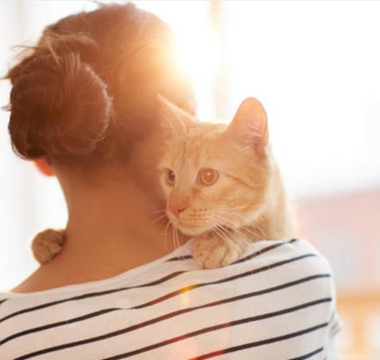 Top 5 Cat Care Mistakes to Avoid