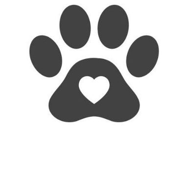 Unique Cat Products: Show Your Pet Some Love