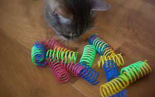 How To Make Spring Toys For My Cats?