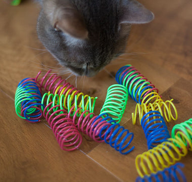 How To Make Spring Toys For My Cats?