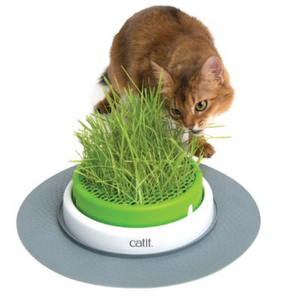 Catit 2.0 Senses Grass Planter