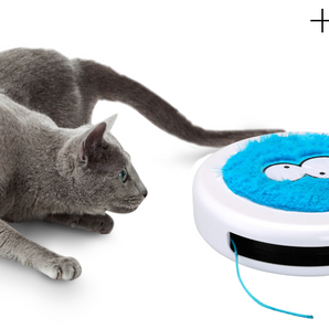 The "Coockoo Sling 360 Cat Activity Toy"