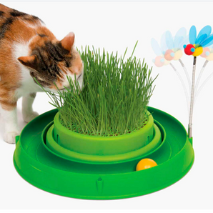 Catit Play 3 in 1 Circuit Ball Toy With Cat Grass Planter And Bouncy Bee Toy For Cats