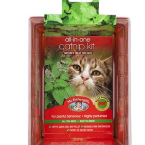 Mr Fothergill's All-in-One Grow Your Own Catnip Kit