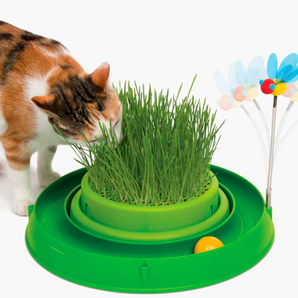 Catit Play 3 in 1 Circuit Ball Toy With Cat Grass Planter And Bouncy Bee Toy For Cats